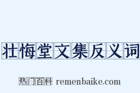 壮悔堂文集反义词是什么意思的图片